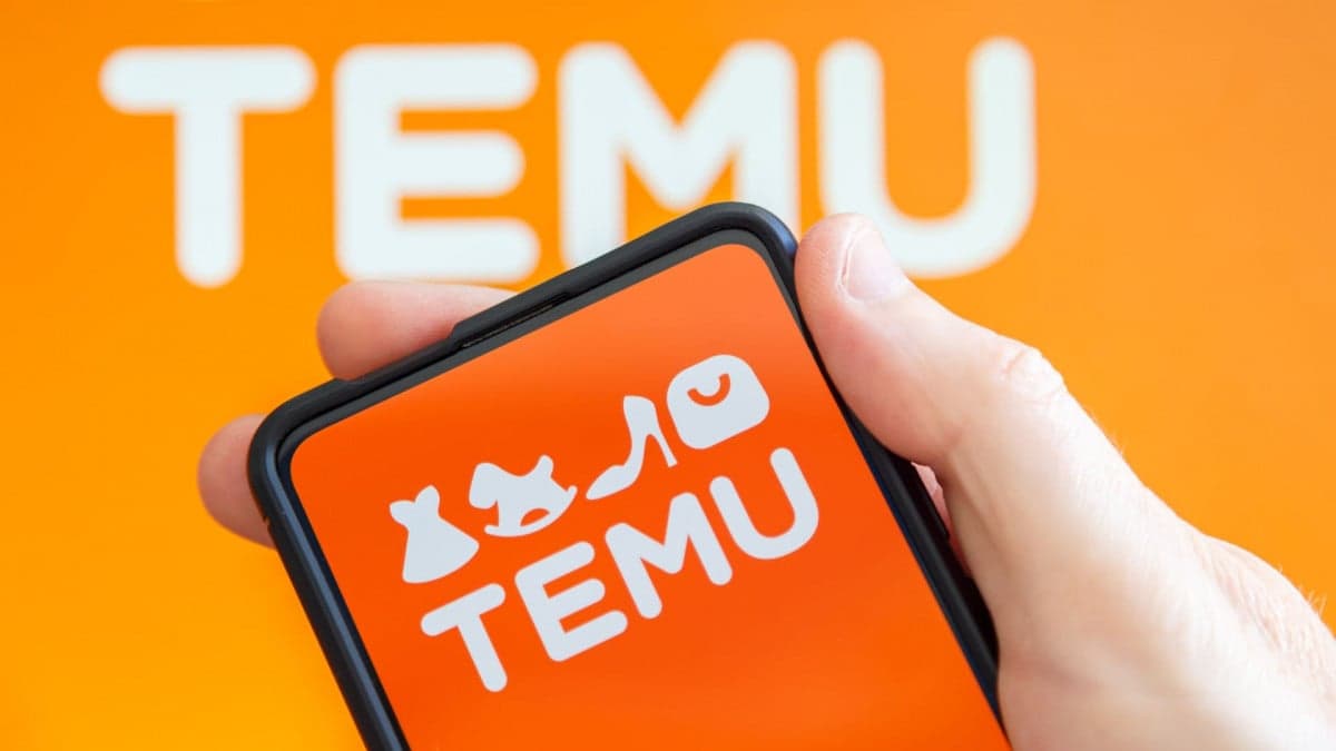 Comment tirer profit des catégories les plus populaires sur Temu?