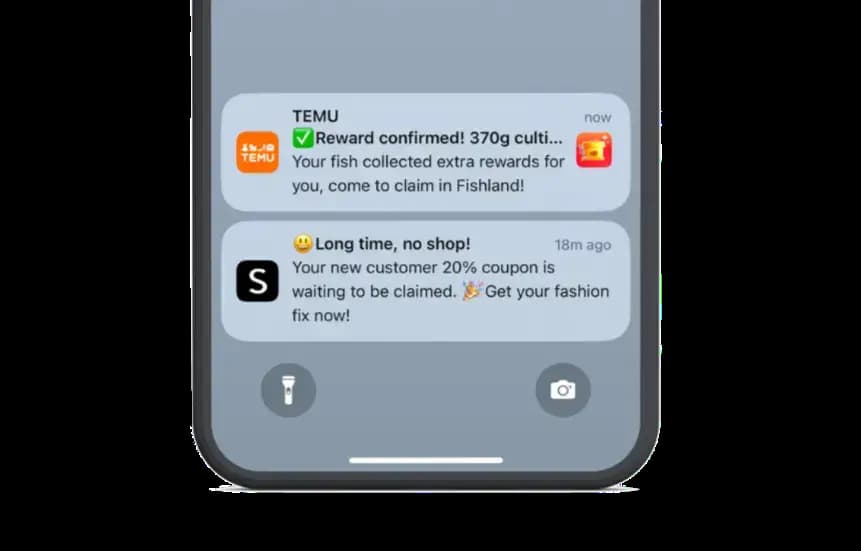 Les différents types de notifications push de Temu que vous pouvez recevoir