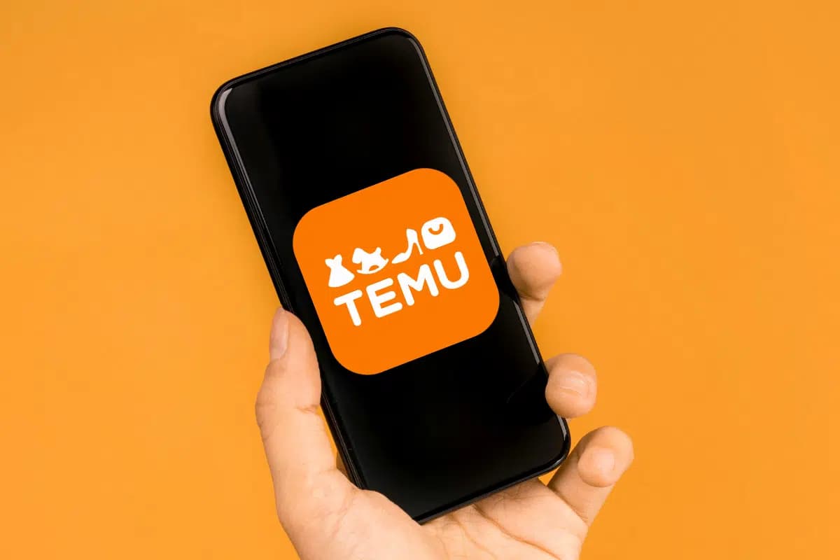 Les catégories dominantes parmi les produits les plus récents de Temu